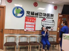 -宠福鑫动物医院(城北分院)
