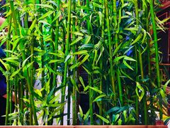-丽江庭院·云南野生菌·海鲜火锅(鼓楼四合院店)