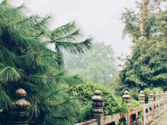 -国恩寺