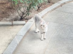 -天主教堂(莲池区)