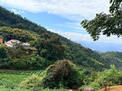 -杨家堂村