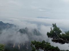 -洛阳白云山景区