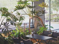 -J Create城市露营咖啡·简餐·宠物(上海动物园店)