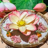 在北仑！居然有这么美腻的火锅店诶！