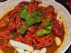 -京悦南门涮羊肉·羊蝎子火锅(田林路店)