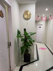 -摩登漂亮妈妈产后恢复中心(吴中区店)