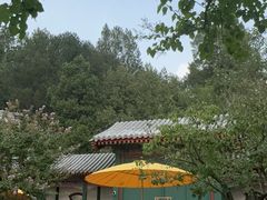 -宫事颐庭·老佛爷贵寿下午茶(颐和园店)