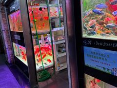 -中环花鸟鱼虫市场