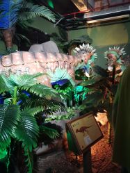 -恐龙探索乐园(磁器口店)