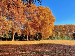 -河南省黄河迎宾馆