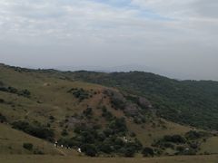 -大姆山草场