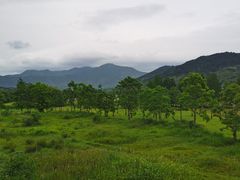 -塔川景区
