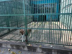 -秦皇岛野生动物园