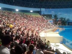 -泉城欧乐堡海洋极地世界