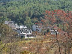 -塔川景区