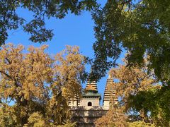 -北京石刻艺术博物馆(五塔寺)