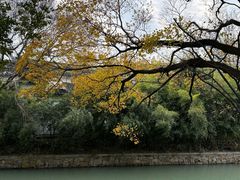 -虎丘山风景名胜区