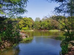 -上海滨江森林公园