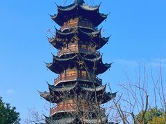 -龙华素斋(龙华路店)