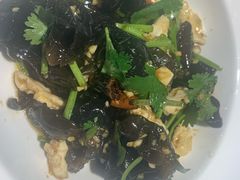 -洞庭家宴·头牌甲鱼(广渠门店)