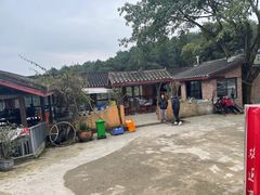 -铁山坪森林公园