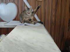 -音悦汇量贩KTV(相城店)