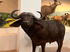 -陕西自然博物馆