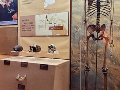 -国家自然博物馆