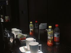 -国家会议中心大酒店