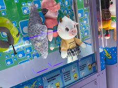 -探险阳光乐园(东区利和店)