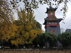 -四川大学(华西校区)