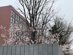 -中粮·祥云小镇