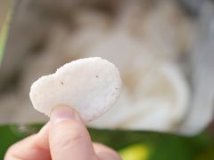 -观潮胜地公园