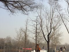 -北京亚布洛尼朝阳公园滑雪场