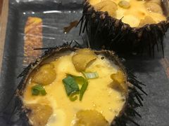 -海胆小馆(东北水饺·春柳店)