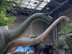 -国家自然博物馆