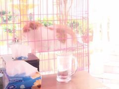 -张学良故居