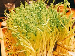 豌豆苗-大头椰·椰子鸡火锅(新梦店)