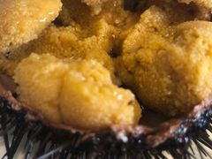 海胆-奕景海鲜(星海广场店)