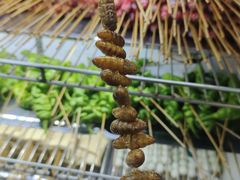 -张杨烤菜(渭南总店)