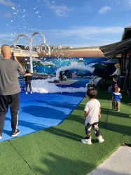 -小蜜蜂农场(凯德七宝购物广场店)