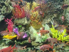 -太平洋海底世界