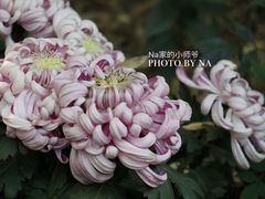 -汇龙潭
