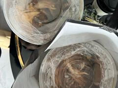 -原鄉本味 楚菜 丹江口鱼(北苑店)