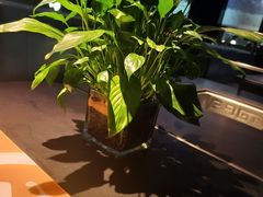 -海底捞火锅智慧餐厅(中骏世界城店)