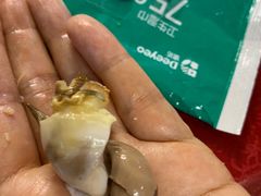 -板桥海鲜广场(文明东店)