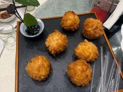 -丁老爷子苏香圆