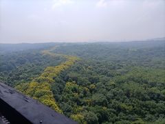 -宜兴龙背山森林公园