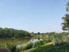 -白鹭湾湿地公园