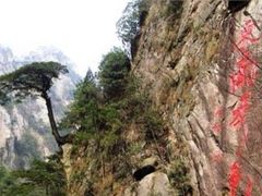 -东天目山风景区